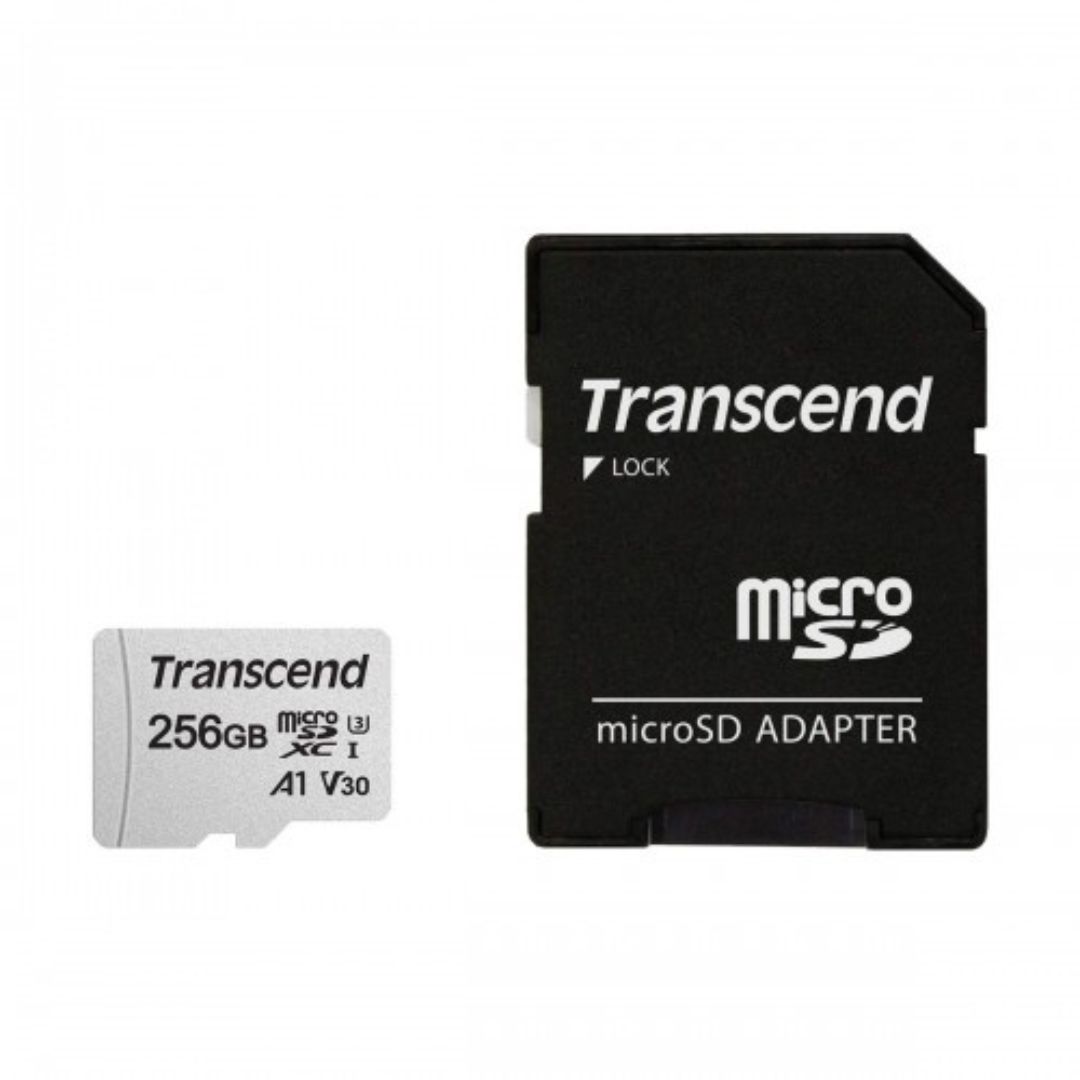 Memory Card	Transcend 256